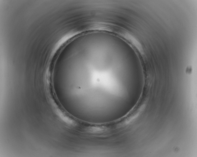 X0000095121125200712071234