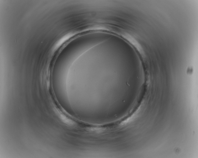 X0000095121127200712071234