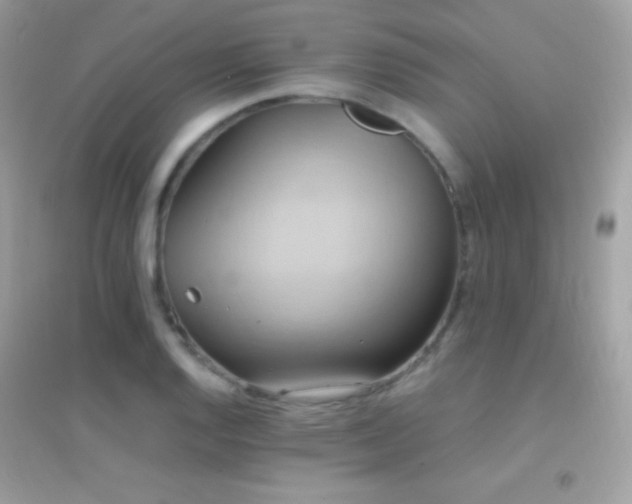 X0000095121128200712071234