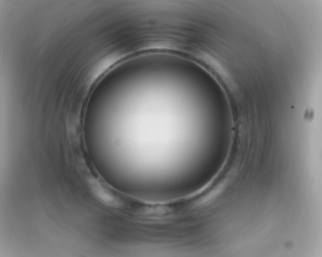 X0000095121129200712071234