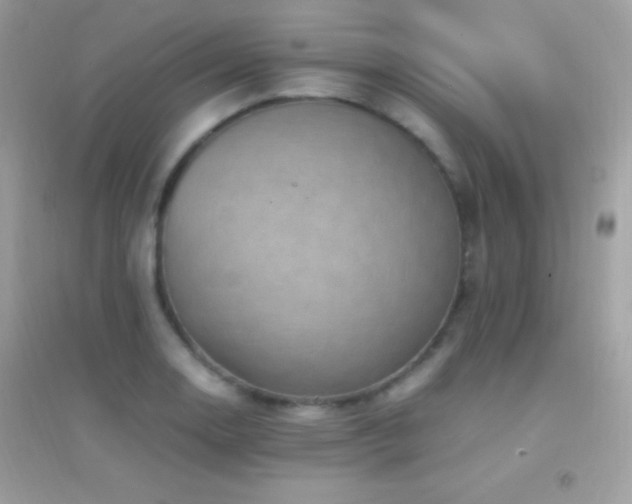 X0000095121130200712071234