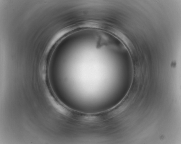 X0000095121131200712071234