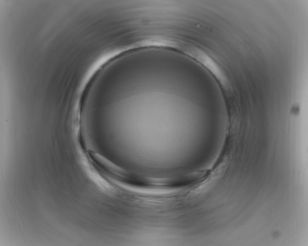 X0000095121132200712071234