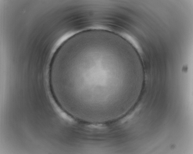 X0000095121133200712071234