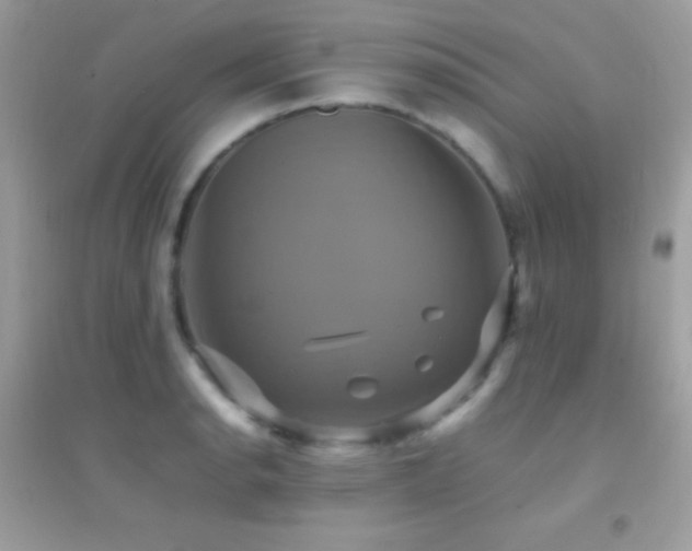 X0000095121134200712071234