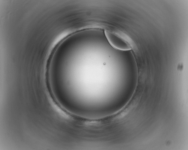 X0000095121135200712071234