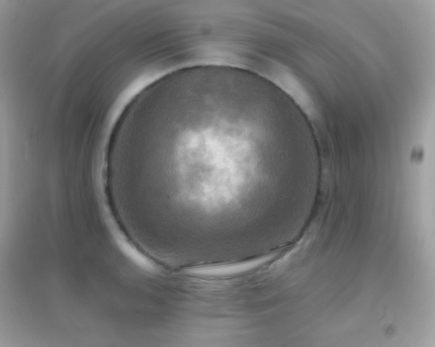 X0000095121136200712071234