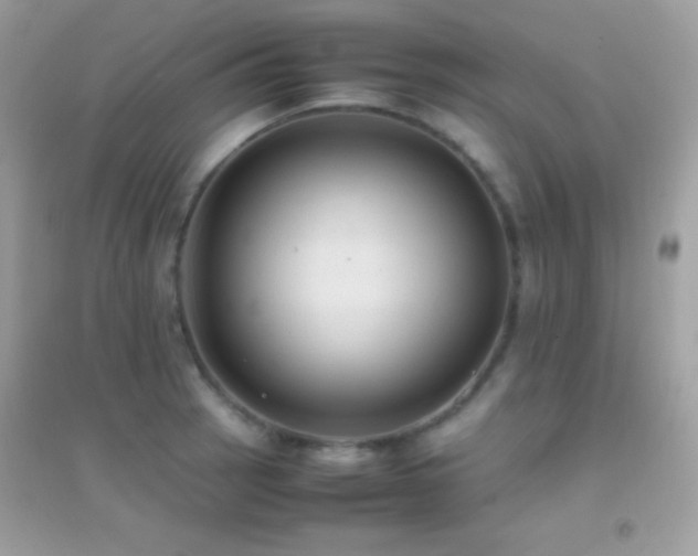 X0000095121137200712071234