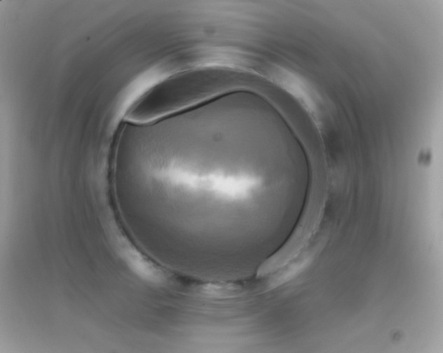 X0000095121138200712071234