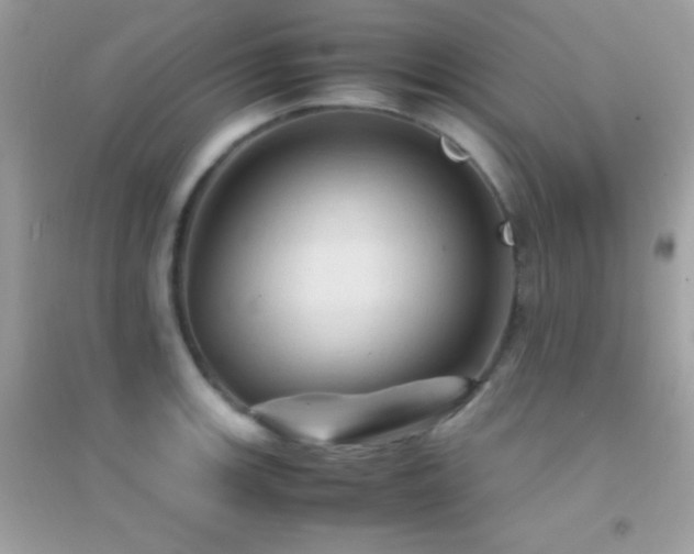 X0000095121139200712071234