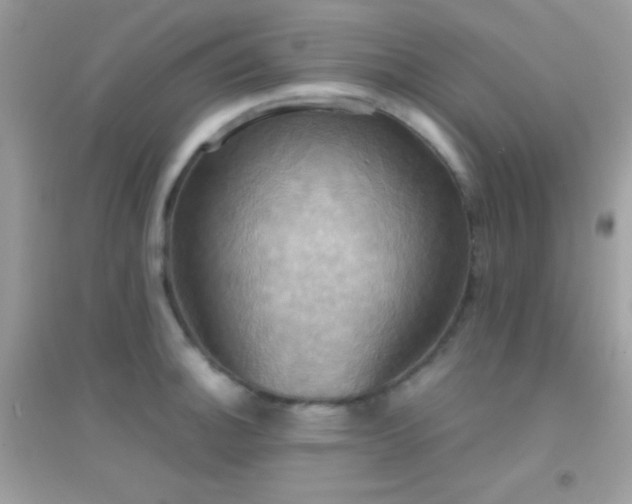 X0000095121140200712071234