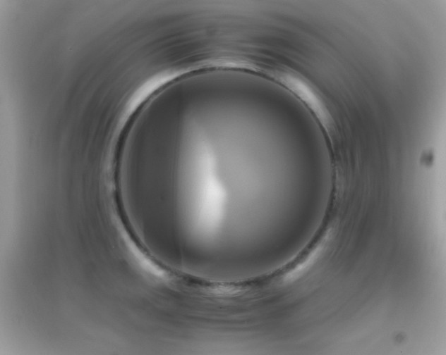 X0000095121141200712071234