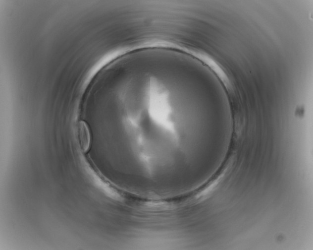 X0000095121142200712071234