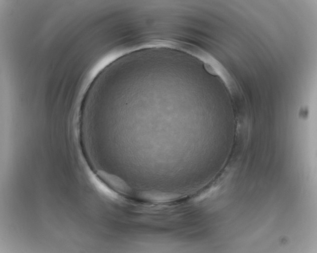 X0000095121143200712071234