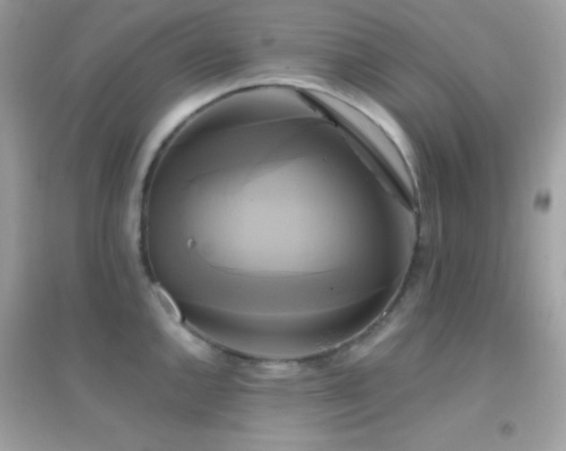 X0000095121144200712071234