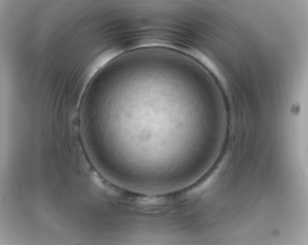 X0000095121145200712071234