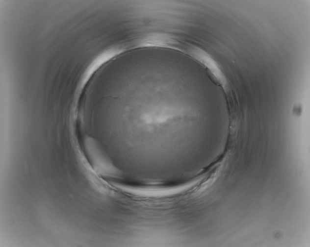 X0000095121146200712071234