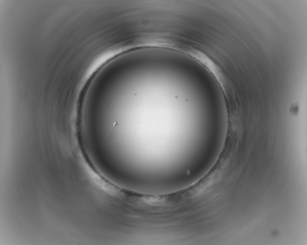X0000095121147200712071234