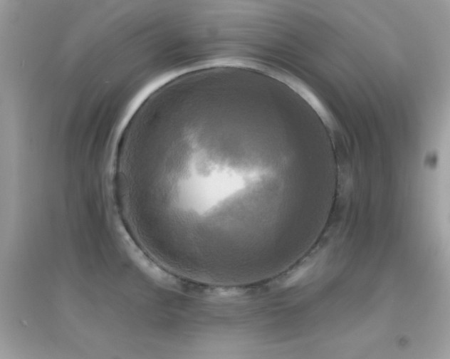 X0000095121148200712071234