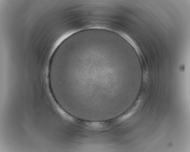 X0000095121149200712071234