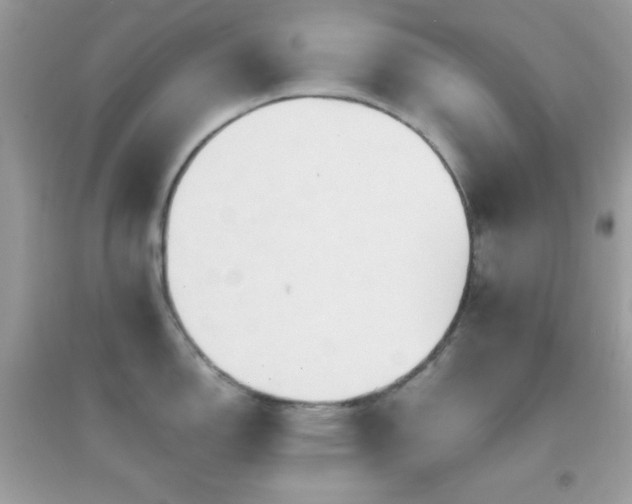 X0000095121150200712071234