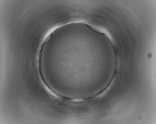 X0000095121151200712071234