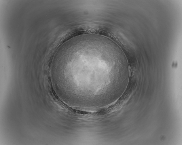 X0000095121153200712071233