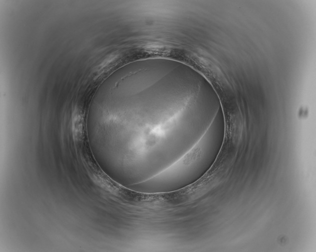 X0000095121154200712071233