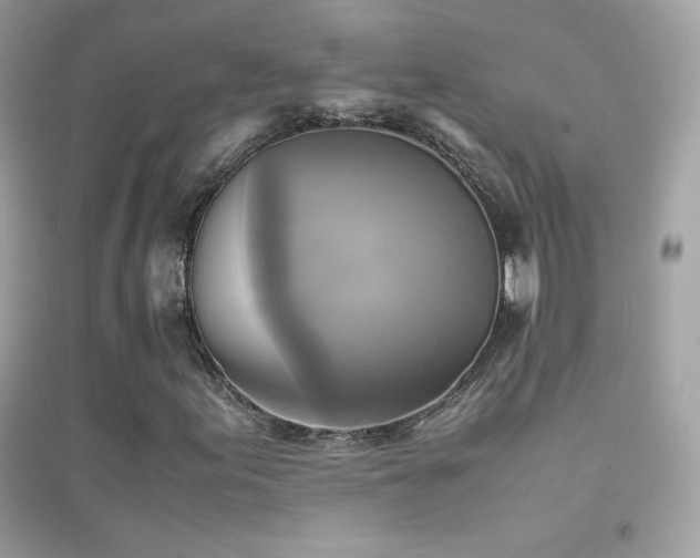 X0000095121155200712071233