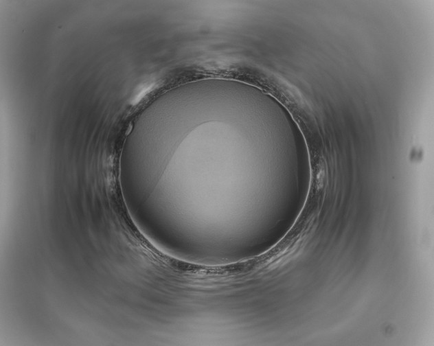 X0000095121156200712071233
