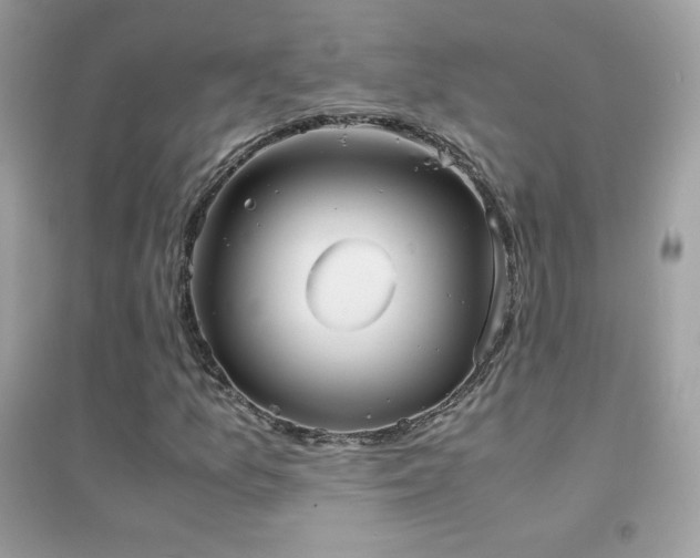 X0000095121157200712071233