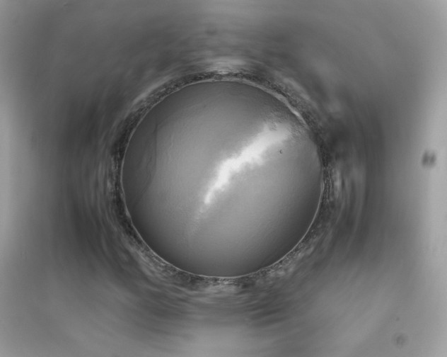 X0000095121158200712071233