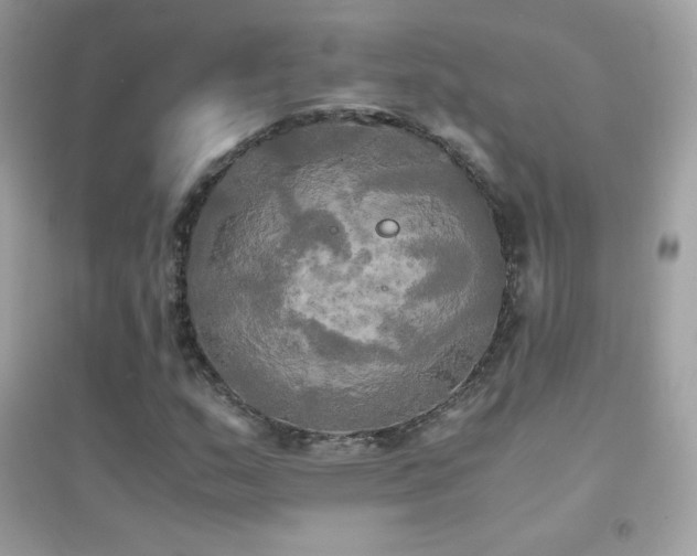X0000095121159200712071233