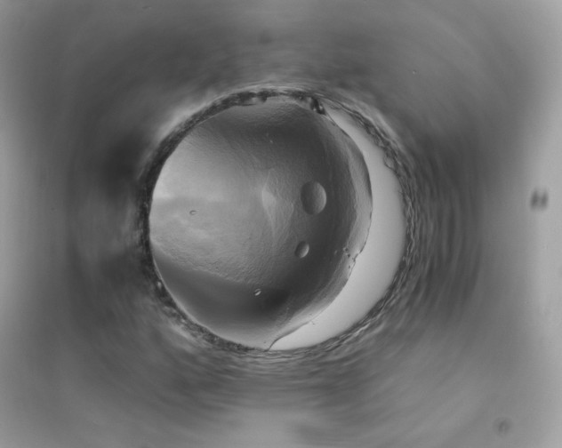 X0000095121160200712071233