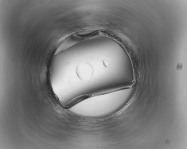 X0000095121161200712071233