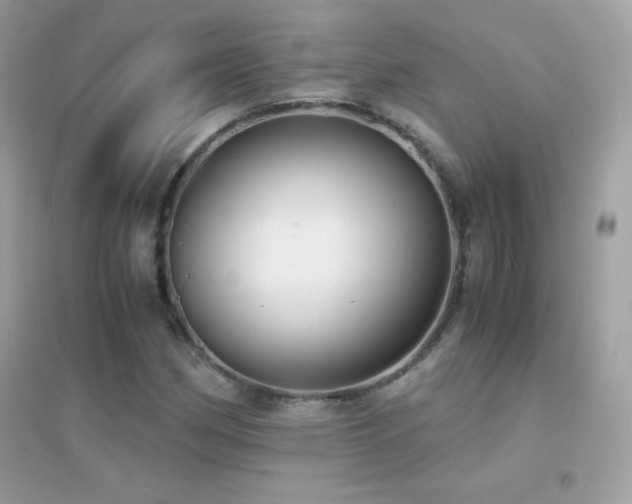 X0000095121162200712071233