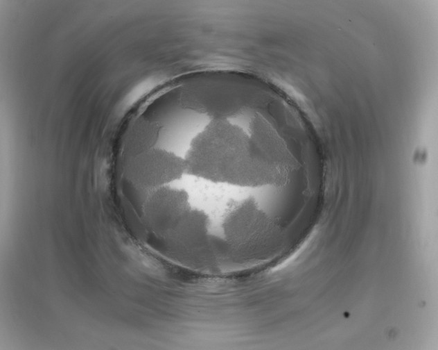 X0000095121163200712071233