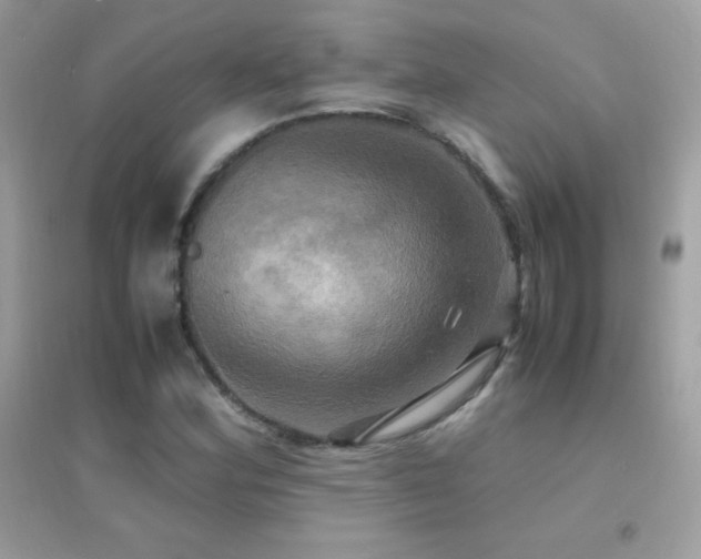 X0000095121164200712071233