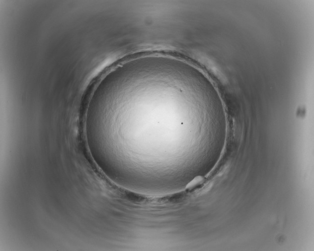 X0000095121165200712071233