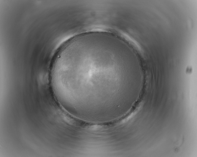 X0000095121166200712071233