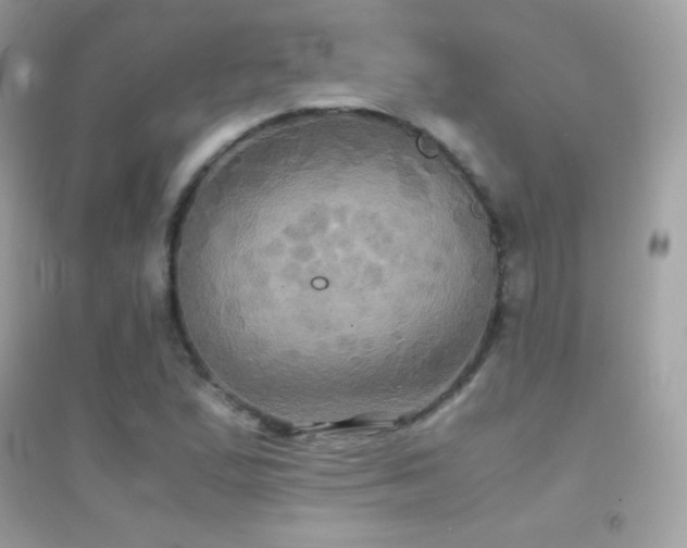 X0000095121167200712071233