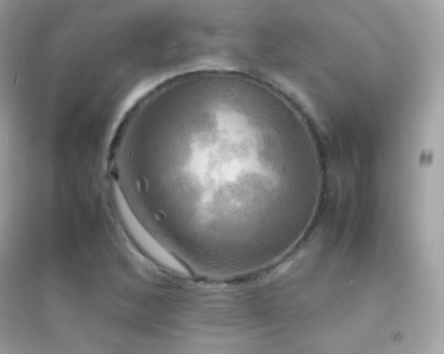 X0000095121168200712071233