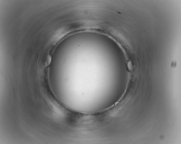 X0000095121169200712071233