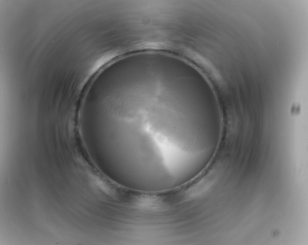 X0000095121170200712071233