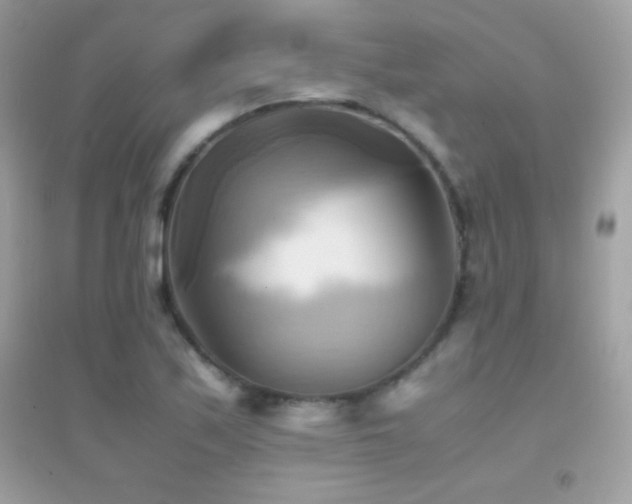 X0000095121171200712071233