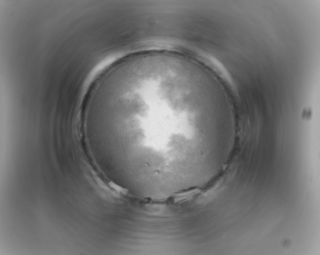 X0000095121172200712071233