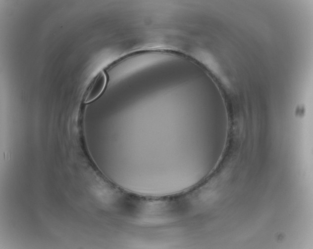 X0000095121173200712071233