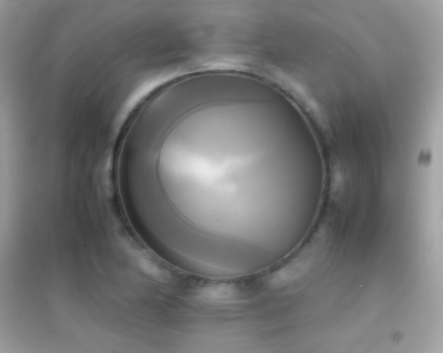 X0000095121174200712071233