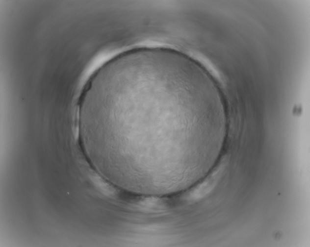 X0000095121175200712071233