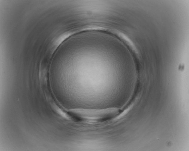 X0000095121177200712071233